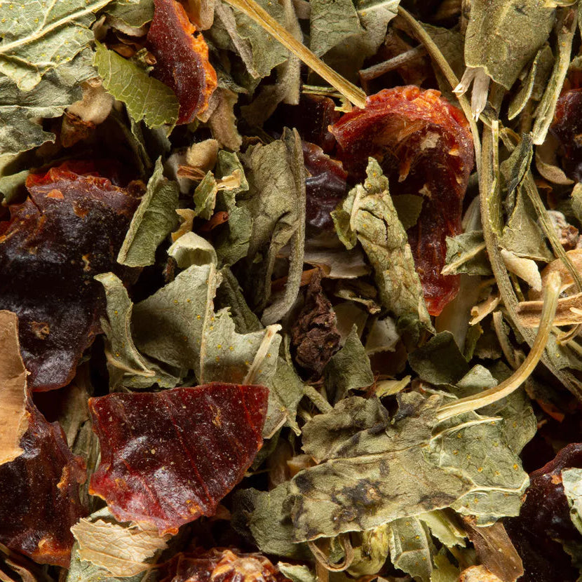 Tisane Fruits du Verger Dammann Frères à Nantes