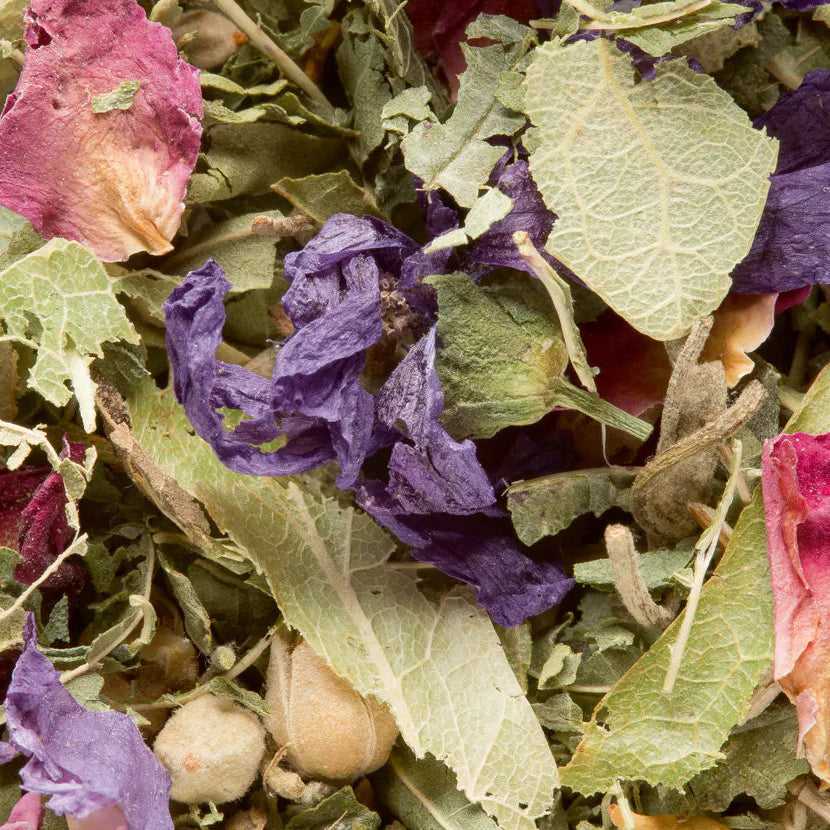 Tisane des Merveilles Dammann Frères à Nantes