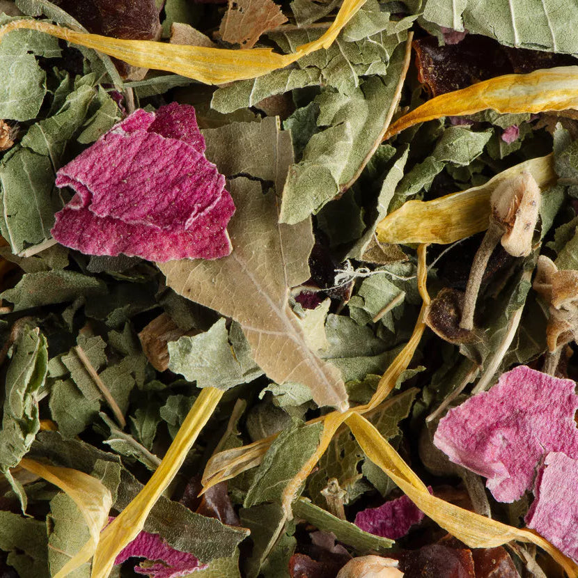 Tisane Nuit à Versaille Dammann Frères à Nantes
