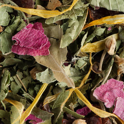 Tisane Nuit à Versaille Dammann Frères à Nantes