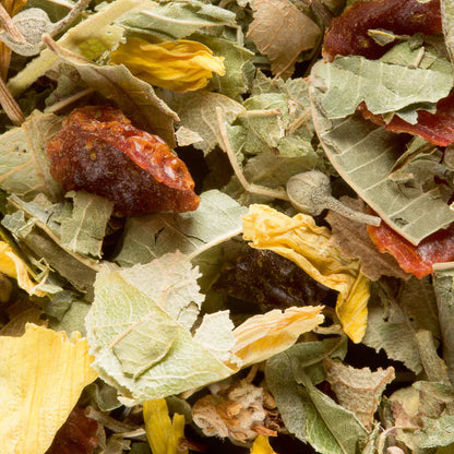 Tisane de la Reyne Dammann Frères à Nantes